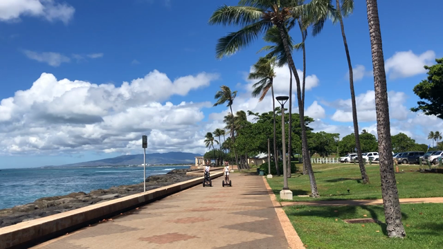 Hawaii Day2 セグウェイ‼︎の記事動画