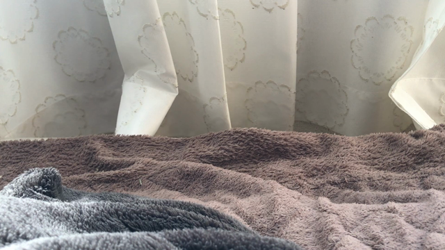 やっぱりビビリのピカード君の記事動画
