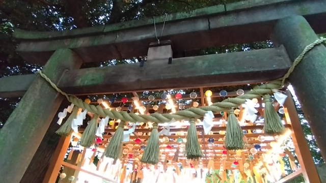 やっぱり海に会いたい*夏の総集編の記事動画