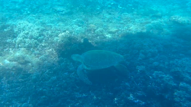 家族旅行その③最終の記事動画