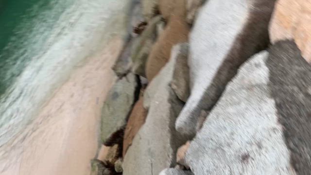 家族旅行その2の記事動画
