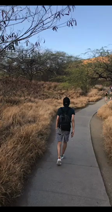 ハワイ旅行  〜4泊6日の旅〜の記事動画