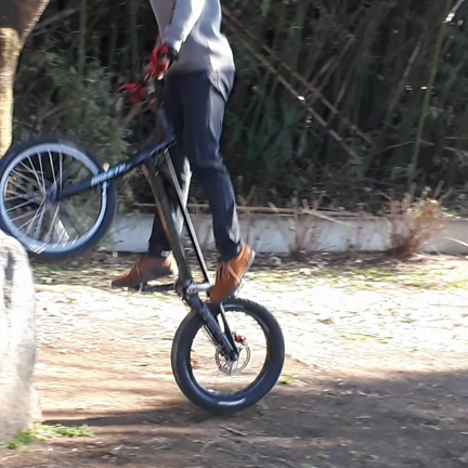 12月21日(火)の活動[オルタナ]の記事動画