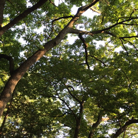 朝のワークの画像