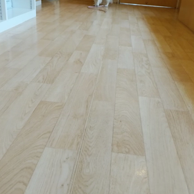 ほっとひと息。。。の画像