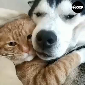ほっこり♡の画像