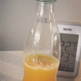 オレンジジュース酵母の画像