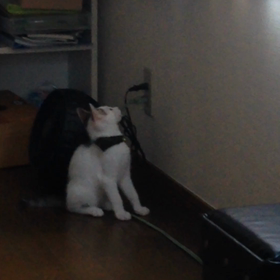 性格悪いの画像