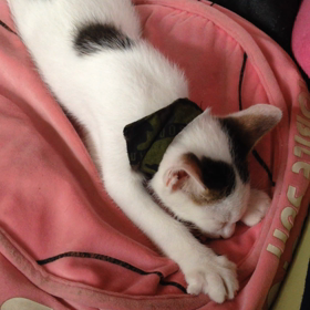 眠りながらの画像