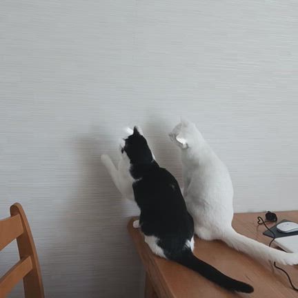なんちゃってレーザーポインターの記事動画