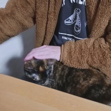 我が家の今年一番の「ビッグニュース」！の記事動画