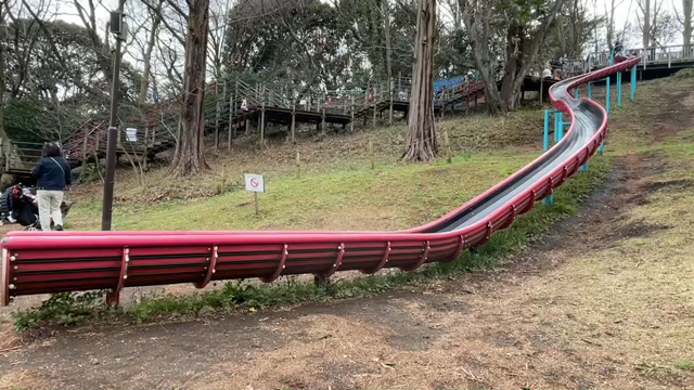 三ツ池公園でピクニックの記事動画