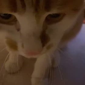 2024/05/05の画像
