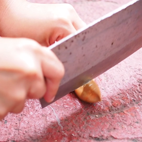 ピリナッツの殻の画像