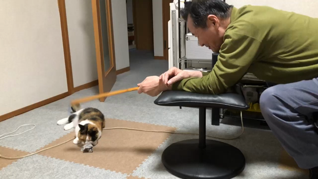 もぐらさんが帰還したぞぉの記事動画
