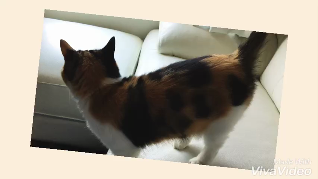 10月の舞台のことを書いたのでみんな読みましょうそして会いに来てね\( ¨̮ )/の記事動画