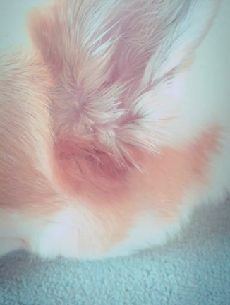 J♡の記事動画