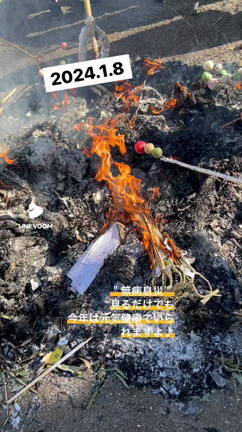 どんど焼きの動画を見るだけでも、、の記事動画