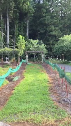 お盆休みを息子の幼稚園の仲良し家族総勢60人で楽しんで来ましたの記事動画