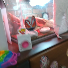 保温球ってそんなすぐ切れる？？？の画像