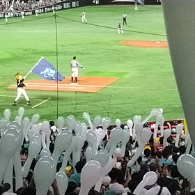 野球みにいきたい。行ったけど。の画像