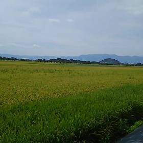 滋賀県 近江八幡 カフェ&バー モン・トレゾールの画像