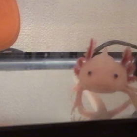 291日目！の画像