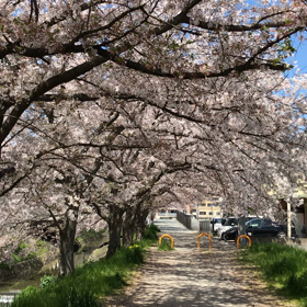 ひつこくの画像