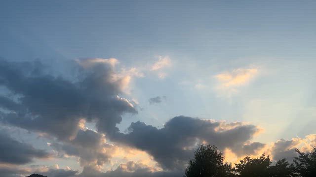 晴れ晴れしくいけたら良いですねの記事動画