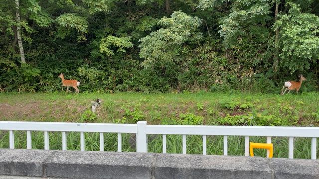立つ鳥跡を濁さず、新しき場所もまた楽しの記事動画
