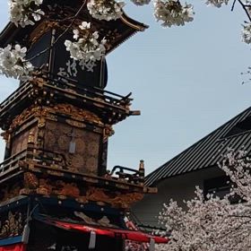 本日のお出かけ✨の画像