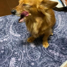 1本の動画の画  像