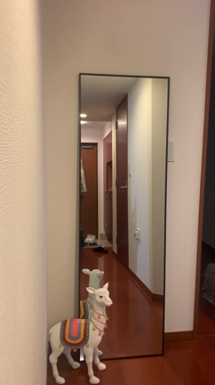 うちに巨人がいたんです。の記事動画