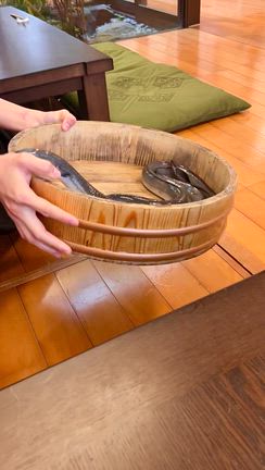 無限に好き。の記事動画