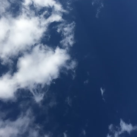 やりたい事をやらせてあげよう❣️の画像