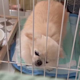 かい〜の！の画像