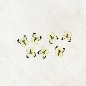 おやすみなさい～✨の画像