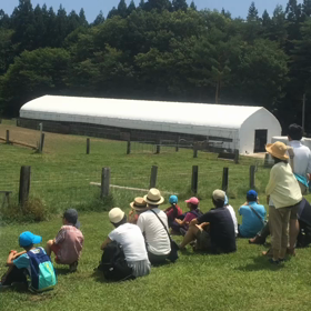 小岩井農場の羊さんの画像