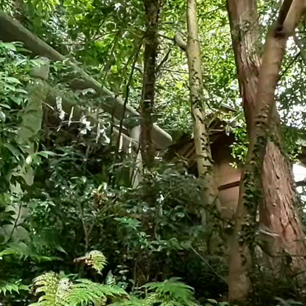 隠された歴史・皇祖皇太神宮の記事動画