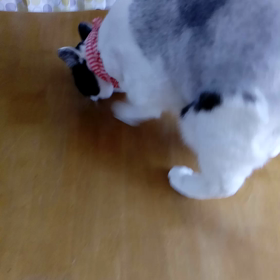 2017/01/25の画像