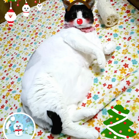 2016/12/24の画像