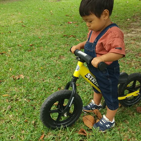 自転車ブンブン。の画像