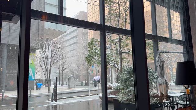 衆議院選挙に日に思うこと。の記事動画