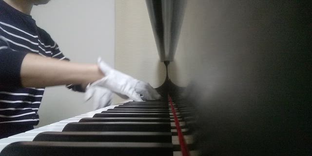 念願の場所で乾杯！の記事動画