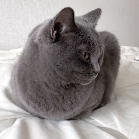 2026/01/30の画像