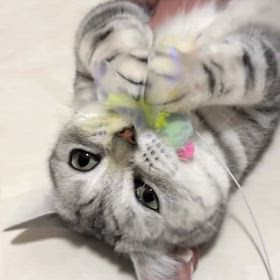 2026/01/27の画像