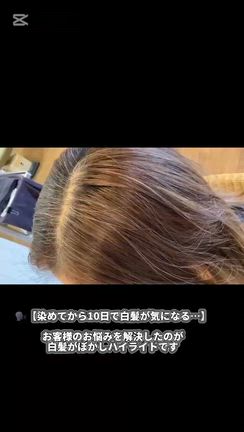 白髪ボカシNo.2の記事動画