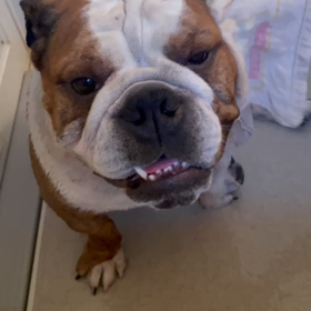 オレの入浴シーン2❤️の画像