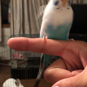 無事にの画像