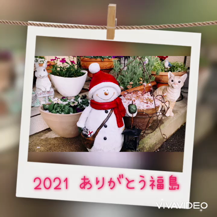 福島サロン2021もありがとうございました！の記事動画